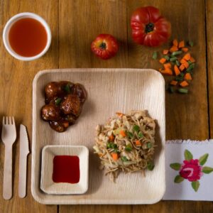 Areca Disposable Dinner Plates