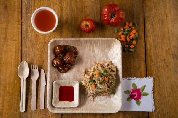 Areca Disposable Dinner Plates